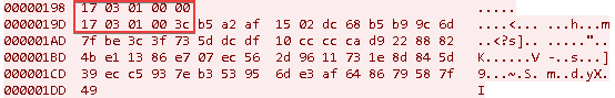 Additional packets with FakeTLS header